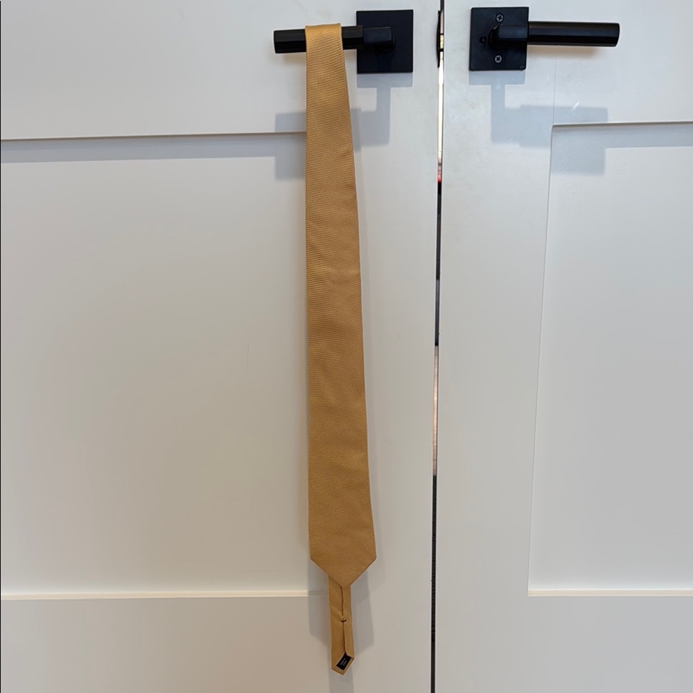 Elegant Gold Necktie